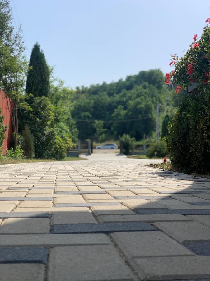 Pensiunea Romana Onesti Exterior photo